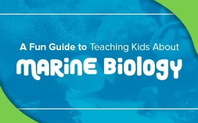 A Fun Guide to Teaching Kids About Marine Biology