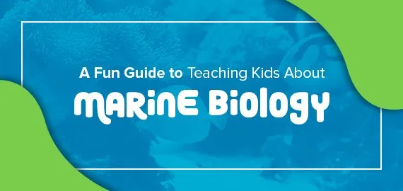 A Fun Guide to Teaching Kids About Marine Biology