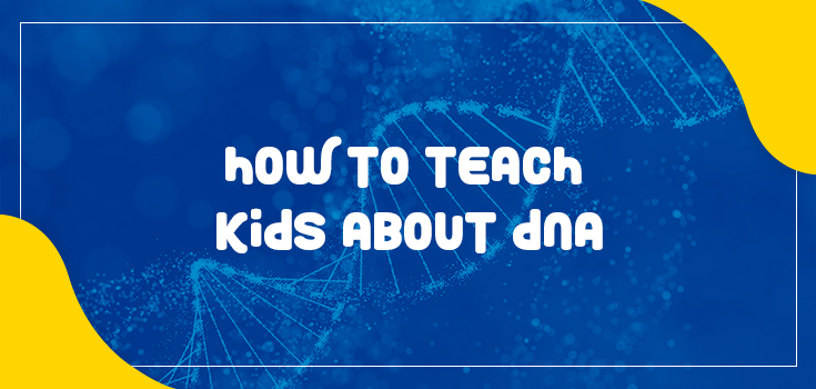 How to Teach Kids About DNA